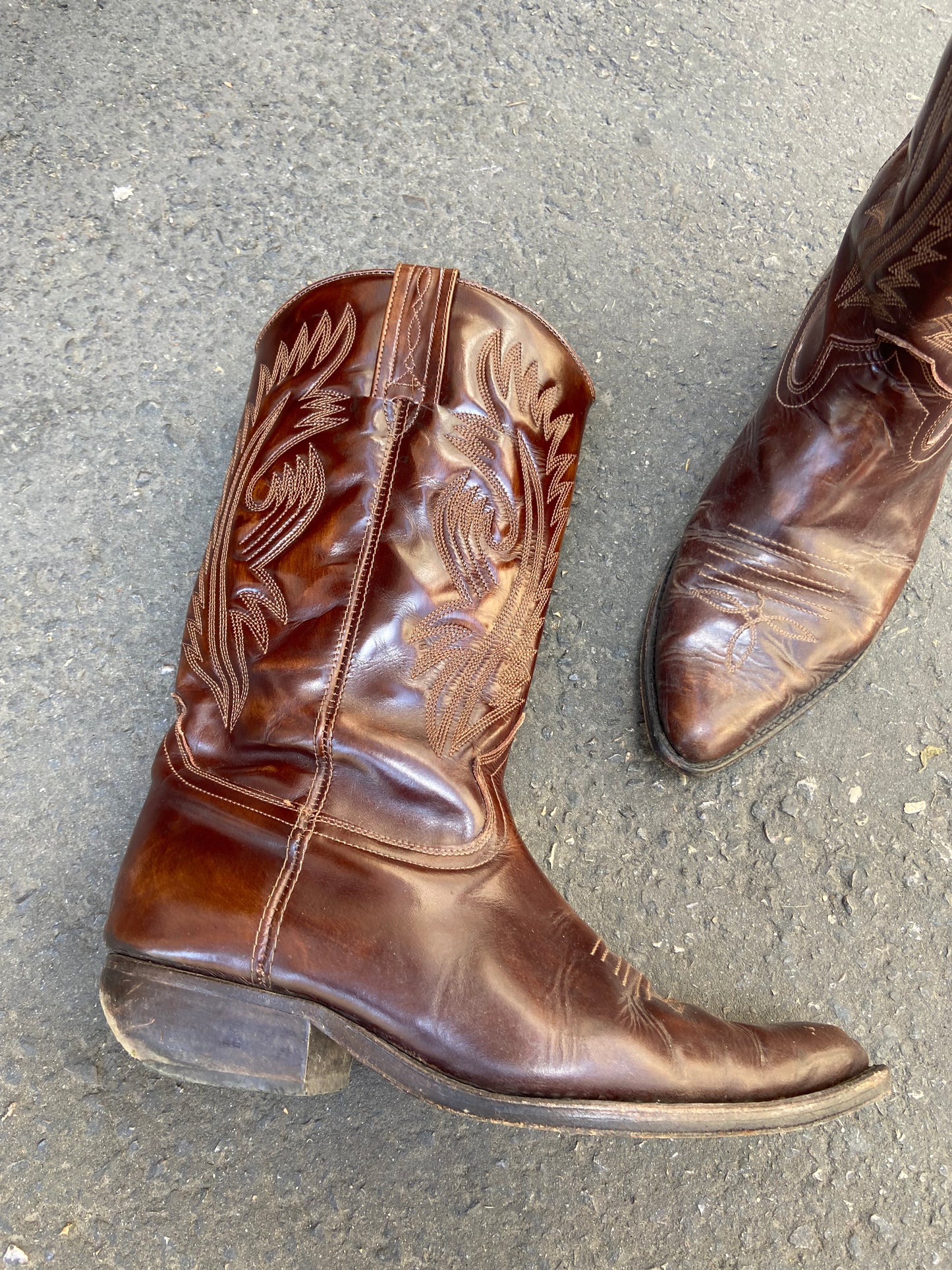 Texano 43