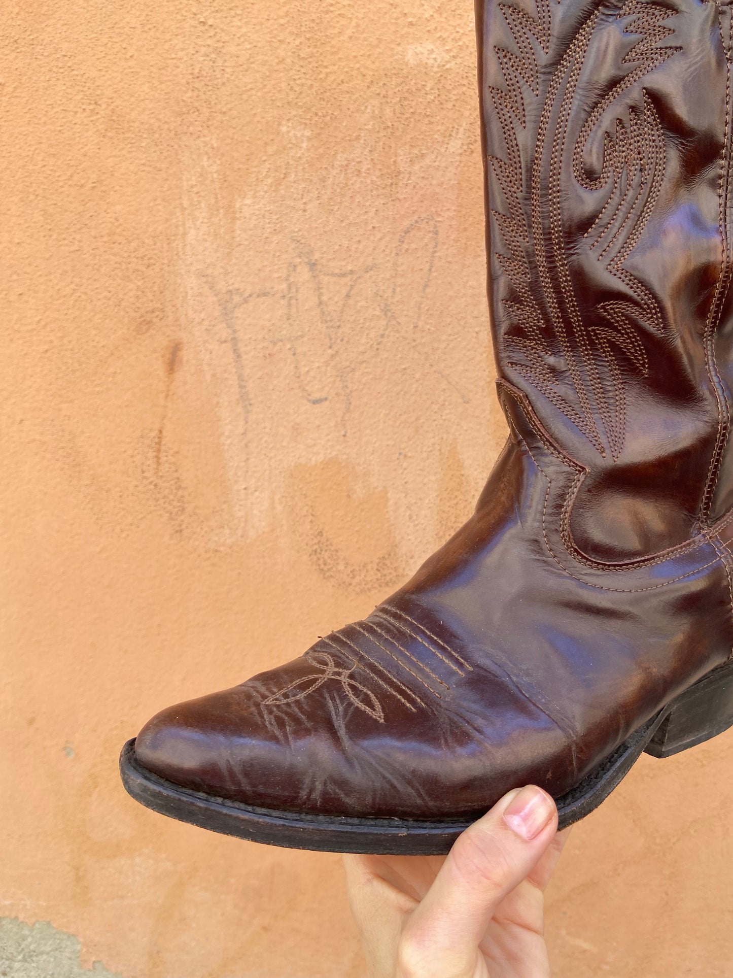 Texano 43